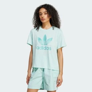 Koszulka Adicolor Trefoil Boxy Adidas
