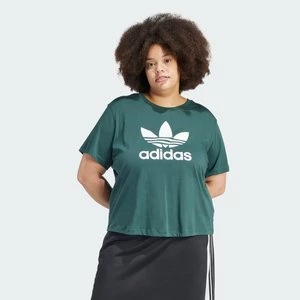 Koszulka Adicolor Trefoil Boxy (Plus Size) Adidas