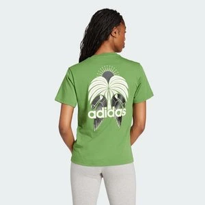 Koszulka adidas x FARM Graphic