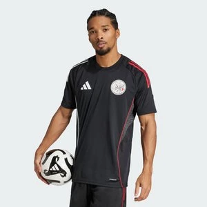 Koszulka Ajax Amsterdam Tiro 25 Competition Training Adidas