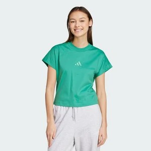 Koszulka ALL SZN Adidas