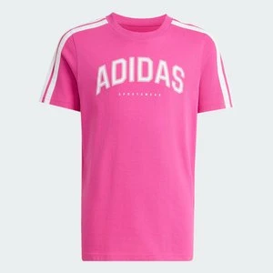 Koszulka Codes Collegiate Graphic Kids Adidas