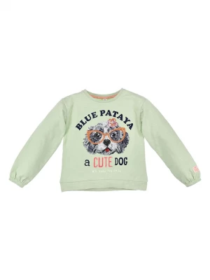 Bondi Koszulka "Cute Dog" w kolorze zielonym rozmiar: 116