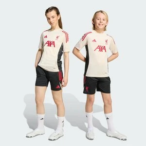 Koszulka dla dzieci Liverpool FC Tiro 25 Competition Training Adidas