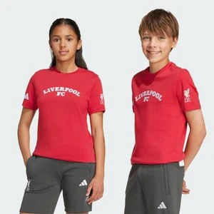 Koszulka dla dzieci Liverpool FC US Pack Adidas