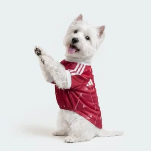 Koszulka dla zwierząt Liverpool FC Adidas Active Maroon