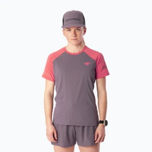 Koszulka do biegania damska Dynafit Alpine Pro SS Tee cabana / 6A90 Szary