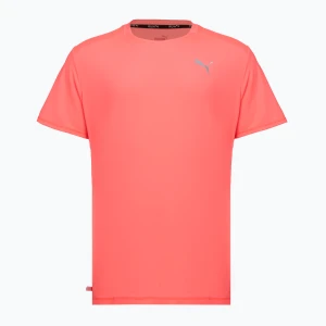 Koszulka do biegania męska PUMA Run Cloudspun SS Tee Pink/Silver