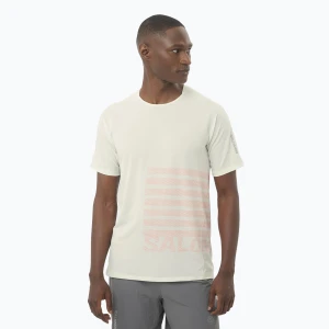 Koszulka do biegania męska Salomon Sense Aero Tee GFX icicle / neon flame Biały