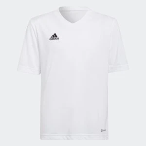 Koszulka Entrada 22 Adidas