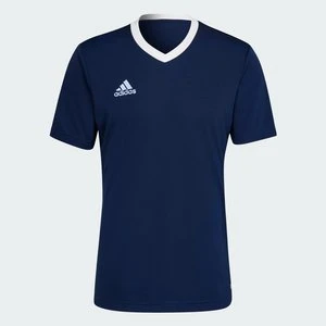 Koszulka Entrada 22 Adidas