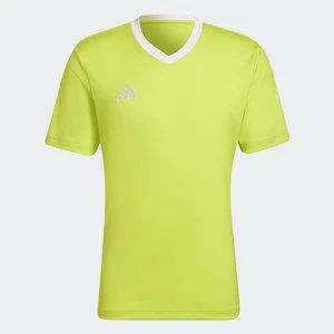 Koszulka Entrada 22 Adidas
