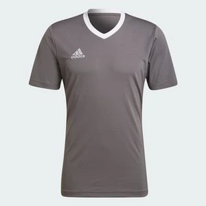 Koszulka Entrada 22 Adidas