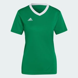 Koszulka Entrada 22 Adidas