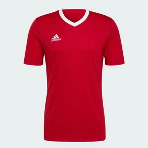 Koszulka Entrada 22 Adidas