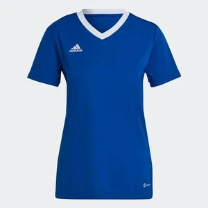 Koszulka Entrada 22 Adidas