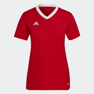 Koszulka Entrada 22 Adidas