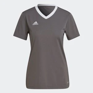 Koszulka Entrada 22 Adidas
