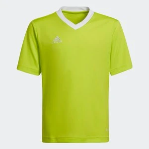 Koszulka Entrada 22 Adidas