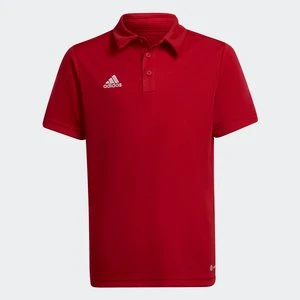 Koszulka Entrada 22 Polo Adidas