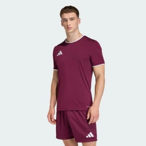 Koszulka Entrada26 Adidas bordowy
