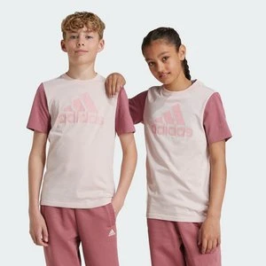 Koszulka Essentials Big Logo Colorblock Cotton Kids Adidas