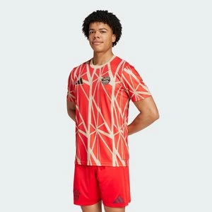 Koszulka FC Bayern Pre-Match Adidas