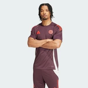 Koszulka FC Bayern Tiro 24 Training Adidas