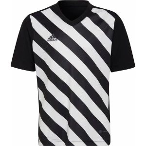 Koszulka juniorska Entrada 22 Graphic Jersey Adidas