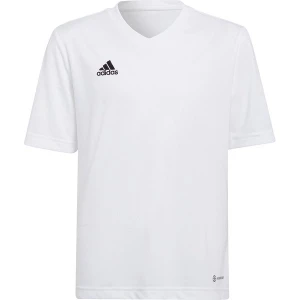Koszulka juniorska Entrada 22 Jersey Adidas