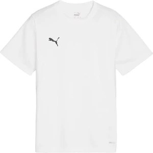 Koszulka juniorska teamGoal Jersey Jr Puma
