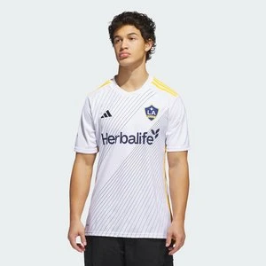 Koszulka LA Galaxy 24/25 Home Adidas