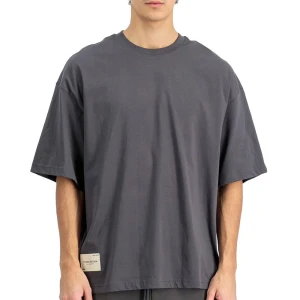 Koszulka męska Alpha Industries Studio Edition 156550684 - szara