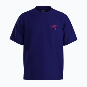 Koszulka męska Arc'teryx Kragg Cotton Logo soulsonic / dynasty
