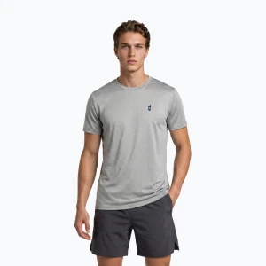 Koszulka męska Aulp Tommy grey/melange