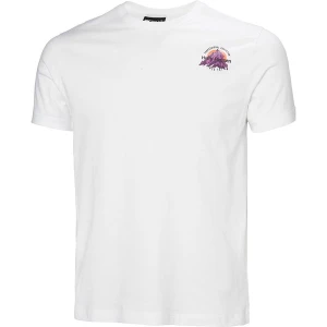 Koszulka męska Core Graphic 2.0 Helly Hansen