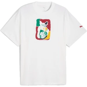 Koszulka męska Dylan Exhibit Tee IV Puma