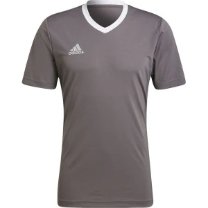 Koszulka męska Entrada 22 Jersey Adidas