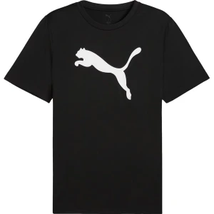 Koszulka męska Essentials Poly Tee Puma