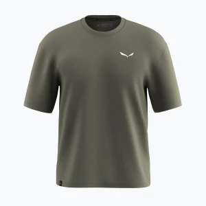 Koszulka męska Salewa Eagle Glacier Loose faded green