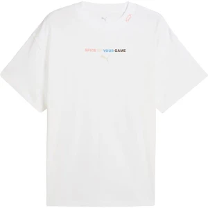 Koszulka męska Spicy Dylan Tee Puma