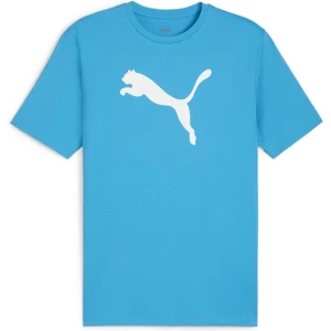 Koszulka męska teamRISE Logo Jersey Cotton Puma