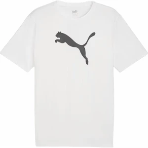 Koszulka męska teamRISE Logo Jersey Cotton Puma