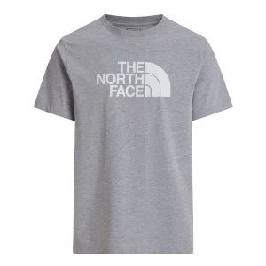 Koszulka męska The North Face Evolution Half Dome 0A8B6JCU71 - szara
