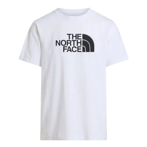Koszulka męska The North Face Evolution Half Dome 0A8B6JLA91 - biała