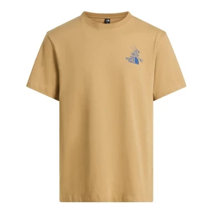 Zdjęcie produktu Koszulka męska The North Face Mountain Celebration 0A8G9ZLK51 - beżowa
