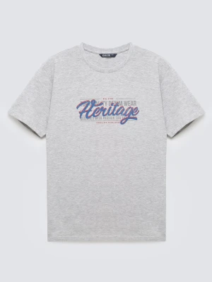 Koszulka męska z nadrukiem szara Keren 902 BIG STAR