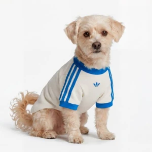 KOSZULKA PET CALI Adidas