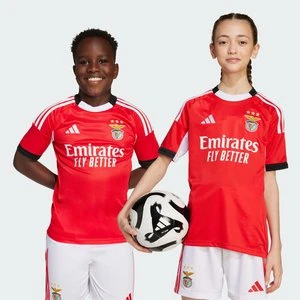 Koszulka podstawowa dla dzieci Benfica 25/26 Adidas