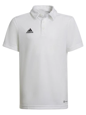 Koszulka polo Adidas biały